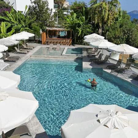 호텔 Bodrum Astrid 4*